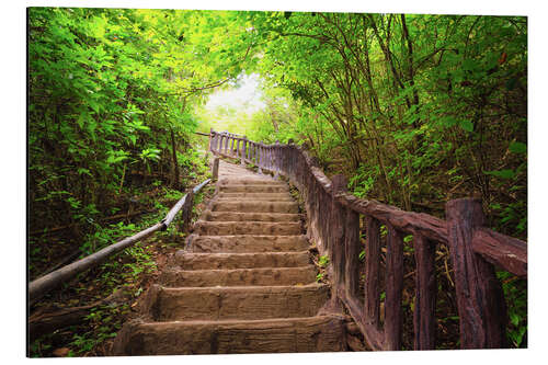 Aluminium print Stairway to forest, Erawan national park