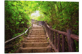 Gallery print Stairway to forest, Erawan national park