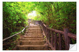 Wall sticker Stairway to forest, Erawan national park