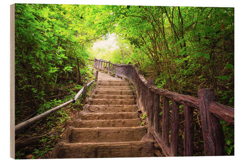 Holzbild Treppe zum Wald, Erawan Nationalpark