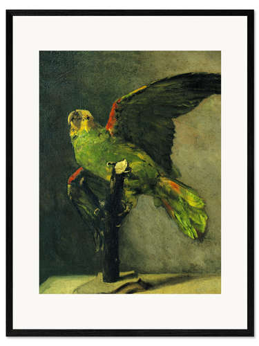 Impresión de arte enmarcada The green parrot