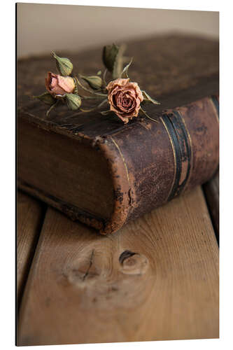 Alubild Trockene Rose und altes Buch