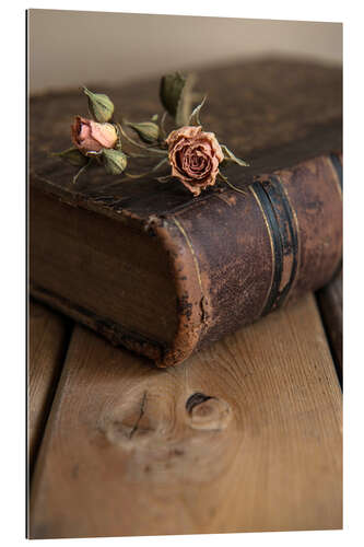 Galleritryk Dry rose and old book