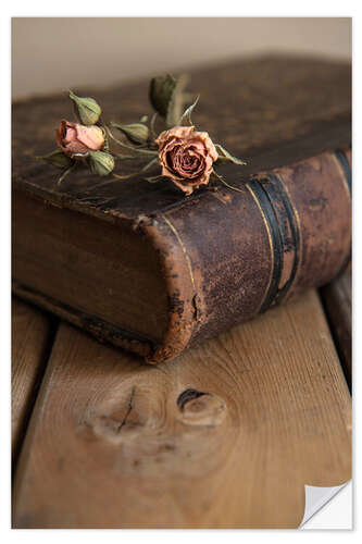 Selvklebende plakat Dry rose and old book