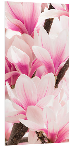 Foam board print magnolia