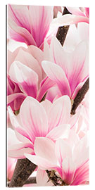 Tableau en plexi-alu Magnolia