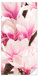 Wandsticker Magnolie