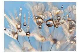 Foam board print Dandelion  Dancing Drops