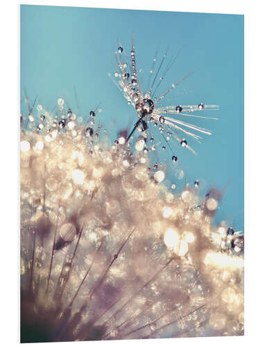 Foam board print Dandelion The one