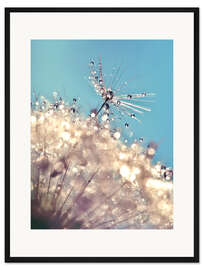 Gerahmter Kunstdruck Pusteblume The one