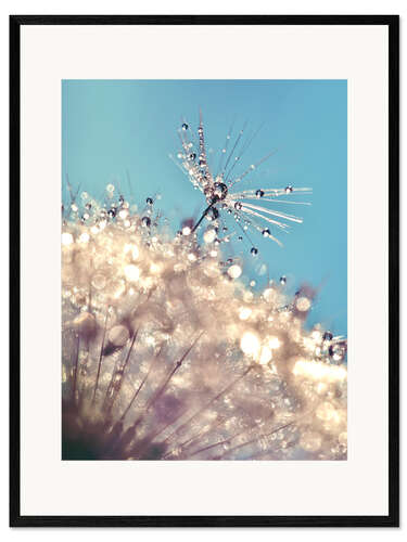 Framed art print Dandelion The one