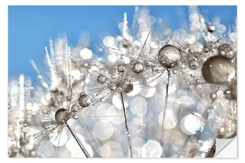 Muursticker Dandelion White and Blue