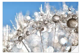 Selvklebende plakat Dandelion White and Blue