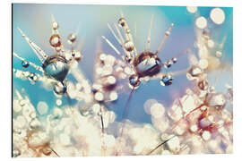 Magnettafel Pusteblume mit Regenbogentropfen