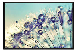 Gerahmter Kunstdruck Pusteblume Dream