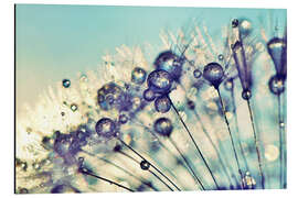 Magnettafel Pusteblume Dream