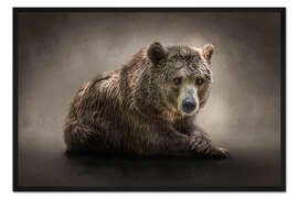 Gerahmter Kunstdruck Der Bär