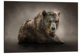 Magnettafel Der Bär