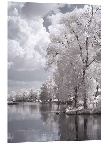 Cuadro de metacrilato infrared landscape