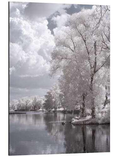 Aluminium print infrared landscape