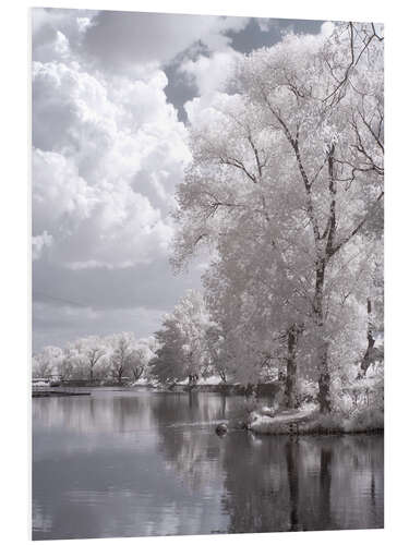 Foam board print infrared landscape