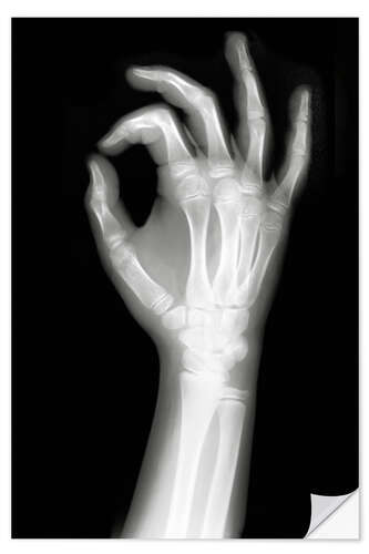 Naklejka na ścianę X rayed OK sign