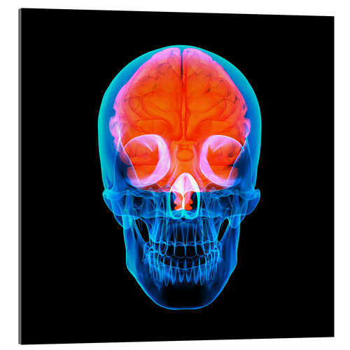 Acrylic print Artificial intelligence