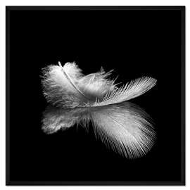 Gerahmter Kunstdruck Federleicht