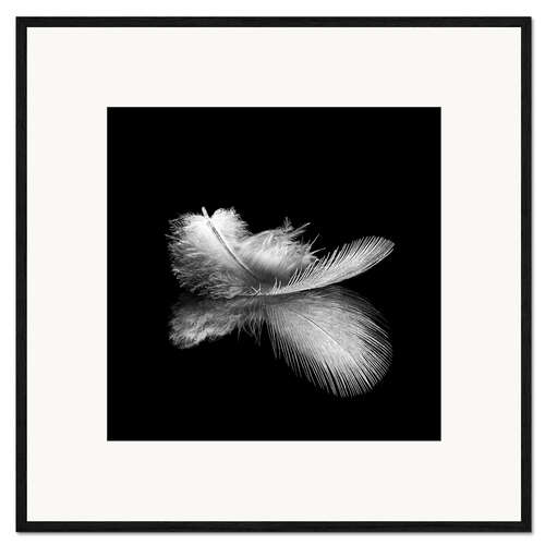 Framed art print Light as a feather