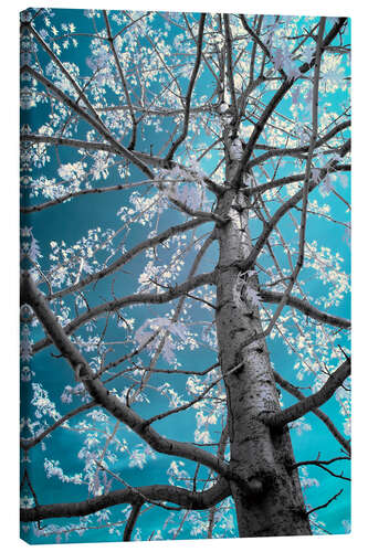 Tableau sur toile Arbre et ciel bleu turquoise