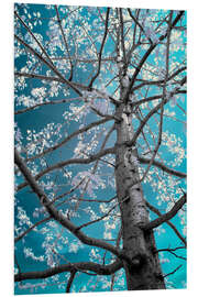 Tableau en PVC Arbre et ciel bleu turquoise