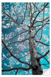 Wall sticker infrared tree