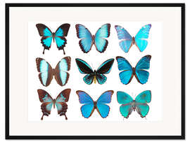 Gerahmter Kunstdruck blaue Schmetterlinge