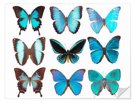 Wall sticker blue butterflies