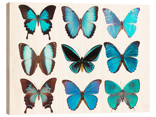 Cuadro de madera blue butterflies