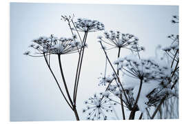 Foam board print Frozen umbrella flowers