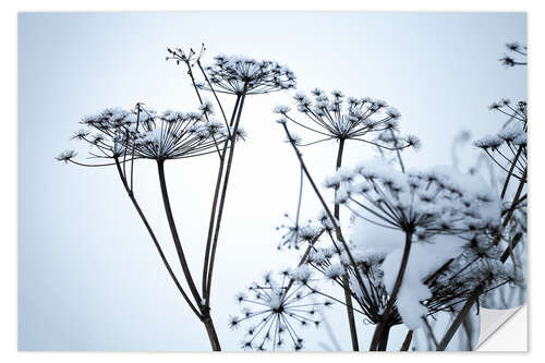 Wall sticker Frozen umbrella flowers