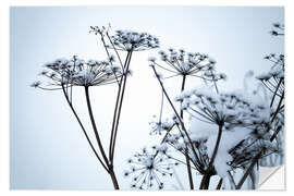 Wall sticker Frozen umbrella flowers