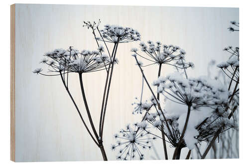 Tableau en bois Fleurs gelées en forme de parapluie