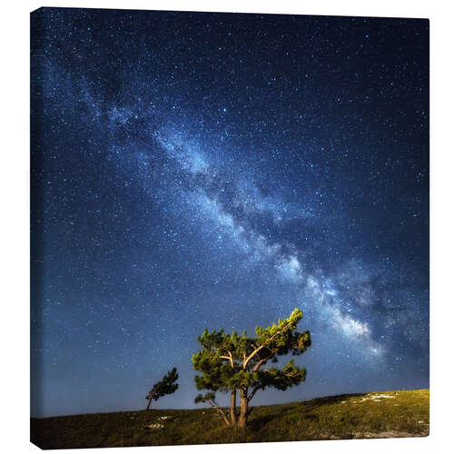 Canvas print Melkweg - sterrenhemel boven de Krim