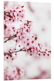 Foam board print flowering fruit tree