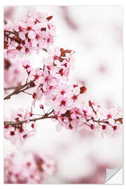 Wall sticker flowering fruit tree