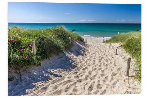 PVC-taulu Beach path at the Baltic beach