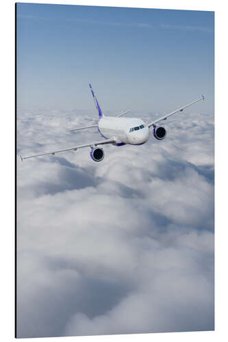 Aluminium print Airliner in flight