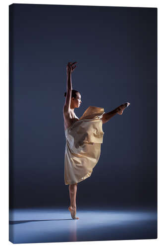 Canvas print balance act