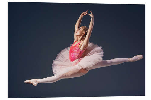 PVC-tavla pink tutu and pointe shoes