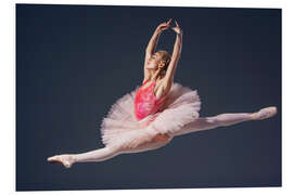 PVC-taulu pink tutu and pointe shoes