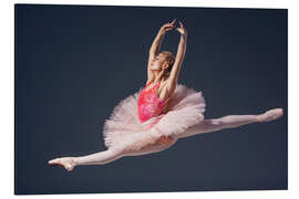 Magnettafel rosa Tutu und Spitzenschuhe