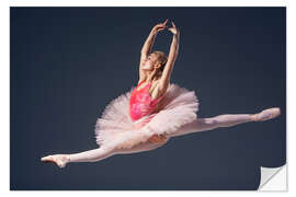 Muursticker pink tutu and pointe shoes