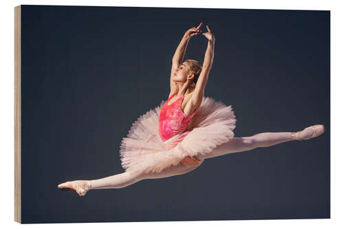 Wood print Pink Tutu and Pointe Shoes